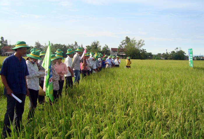 PMB: Cổ phiếu đầy tiềm năng pmb co phieu day tiem nang