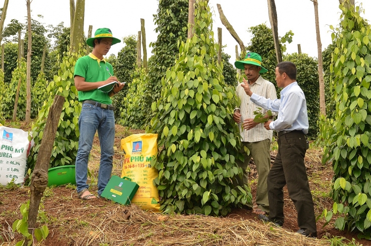 PVFCCo: 9 tháng đầu năm, lợi nhuận trước thuế đạt 141% kế hoạch năm