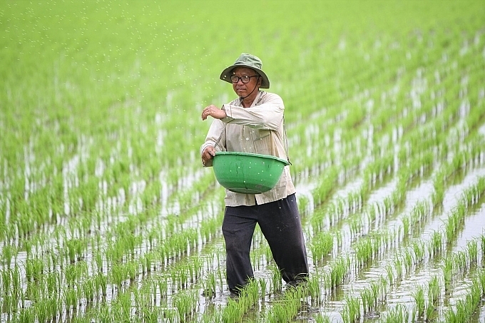 Đưa phân bón vào diện chịu thuế VAT:  Ích nước, lợi dân!