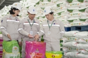 Phân bón Cà Mau: Cứng cáp, vững vàng hơn sau “bão kép”