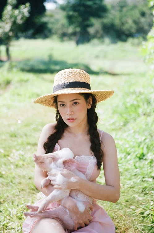 chuan muc showbiz viet dang o dau
