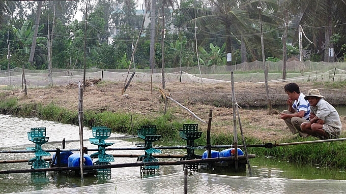 long an hai cha con bi dien giat thuong vong