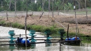 long an bat giu nghi pham co nhieu tien an tien su bo tron