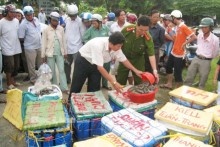 viet nam chua co may do hoa chat trong thuc pham
