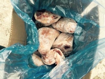 Phát hiện 5 tấn chân giò đông lạnh không kiểm dịch