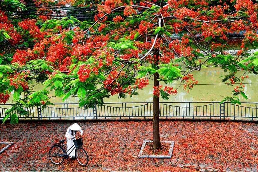 Lời bài hát 