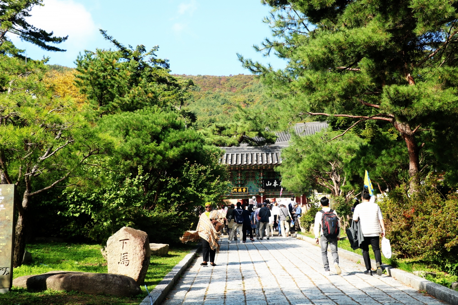 Tự sự: Lạc lối ở Busan
