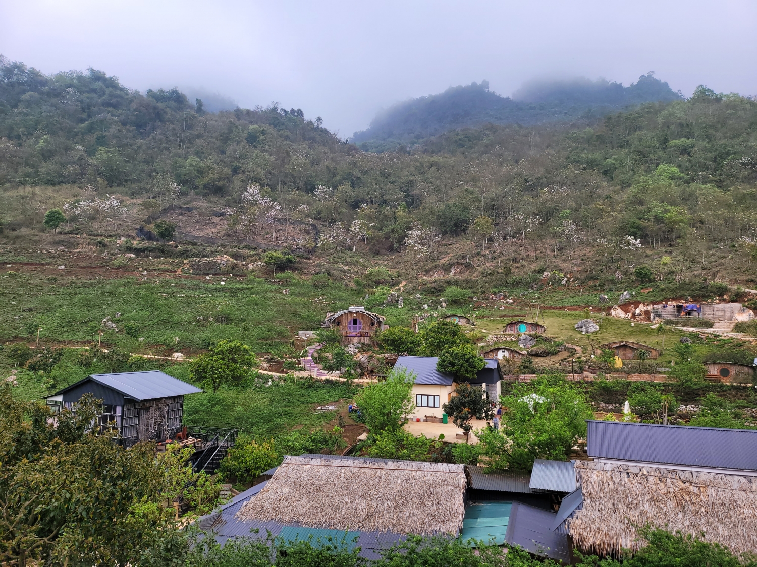 Về Mộc Châu khám phá 