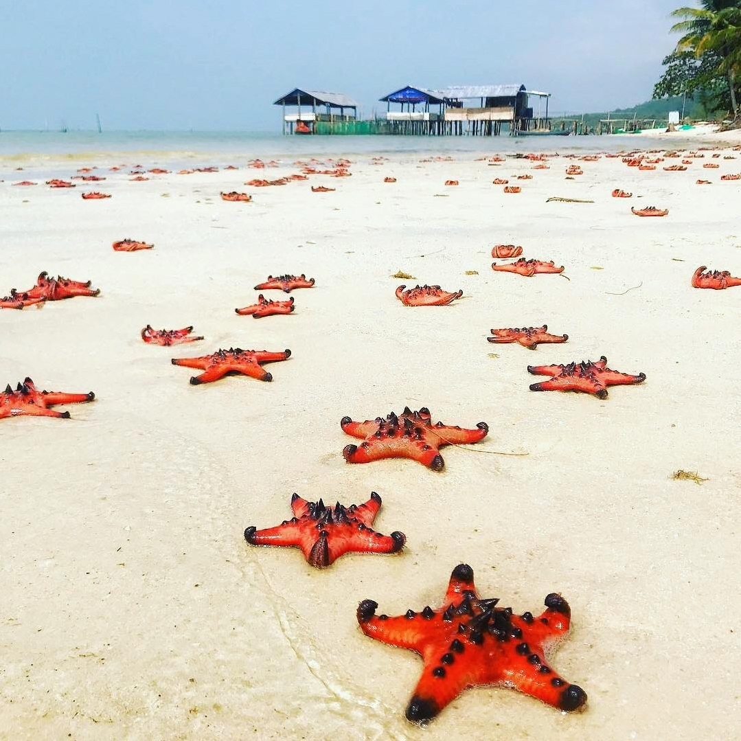 Interesting experiences should not be missed when visiting Phu Quoc