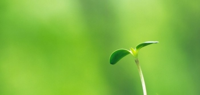 Tứ hành xung là gì? Hiểu như thế nào cho đúng để tốt hơn trong cuộc sống