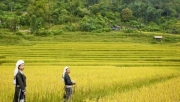 Attracting community tourism in Hoai Khao (Cao Bang)