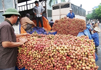 Trung Quốc vẫn là thị trường lớn nhất của Việt Nam