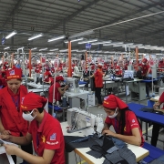 xuat khau hua hen dot pha 300 ty usd