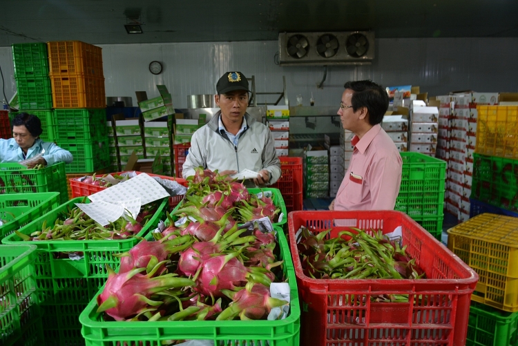 van co co hoi gia tang thi phan cho doanh nghiep xuat khau rau qua sang hoa ky