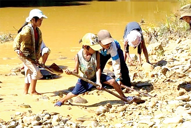 175 trieu tre em viet nam dang tham gia lao dong
