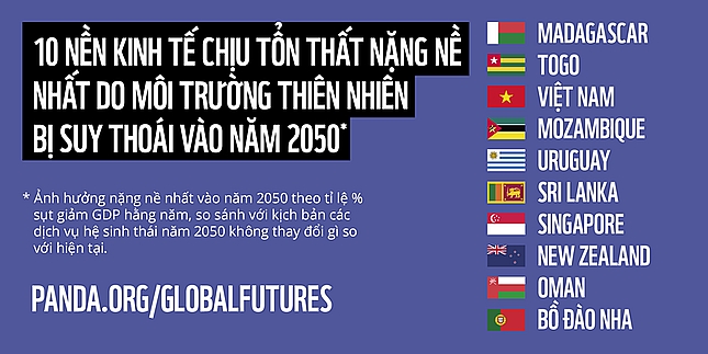 viet nam chiu tot that nang ne nhat vao nam 2050 do suy thoai moi truong