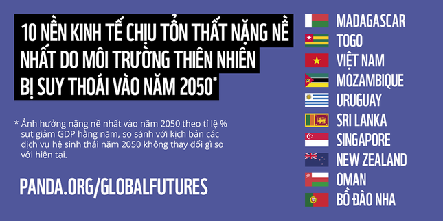 viet nam chiu tot that nang ne nhat vao nam 2050 do suy thoai moi truong