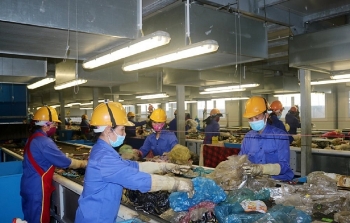Muốn đốt rác phát điện cũng… khó khăn