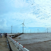 Điện gió sẽ dẫn đầu ngành năng lượng toàn cầu