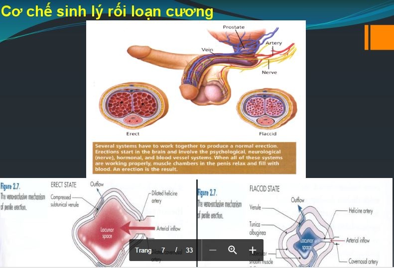sos nam gioi mac roi loan cuong duong gia tang