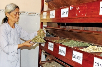 Tăng cường kiểm tra thuốc y học cổ truyền