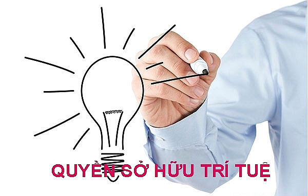 viet nam chua thuc su phat huy het tiem luc so huu tri tue