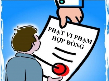 Tháng 5/2019: Tăng số vụ vi phạm về quản lý kinh tế