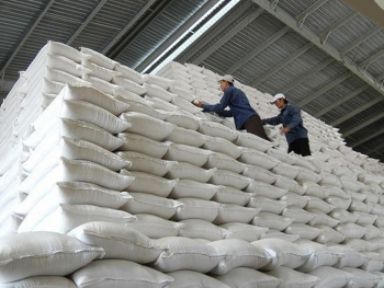 Chuyển hồ sơ sai phạm trong đấu thầu mua gạo dự trữ quốc gia sang cơ quan công an để điều tra