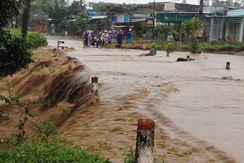 6 tháng đầu năm, thiệt hại hơn 1.100 tỷ đồng vì thiên tai