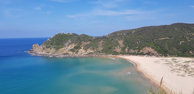 den voi thien duong hoa vang tren co xanh