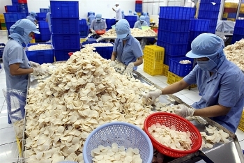 Thoái toàn bộ vốn nhà nước tại công ty bánh phồng tôm Sa Giang