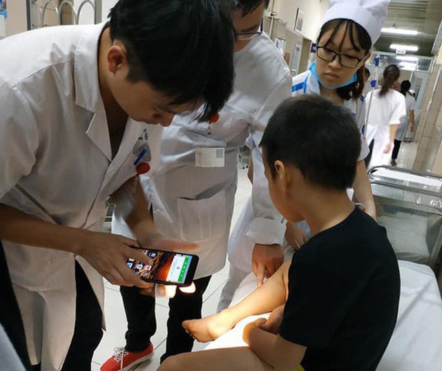 Hà Nội: Bé trai bị rắn cắn khi chơi ở công viên