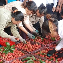 Thương mại Việt - Trung đạt kim ngạch hơn 165,8 tỉ USD