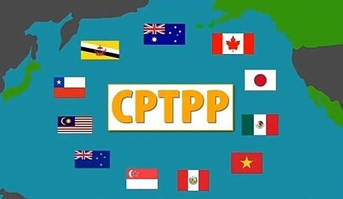 hon 70 doanh nghie p chua hieu ro ve hiep dinh cptpp