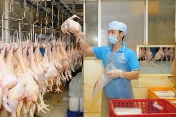 Xuất khẩu sản phẩm chăn nuôi đạt 449 triệu USD