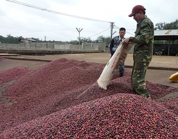 Sẽ cổ phần hóa 9 doanh nghiệp Nhà nước với trị giá 780 tỷ đồng