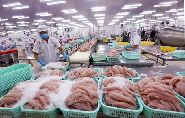Vượt khó khăn, xuất khẩu nông lâm thủy sản ước tính đạt kỷ lục mới