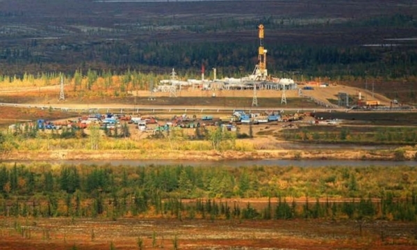 petrotimes.vn