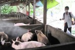lang son rao riet ngan chan buon lau lon khong ro nguon goc