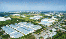 viet nam dang lang phi uu dai tu cptpp