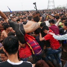 lui thoi diem to chuc festival 2020 vi dich covid 19