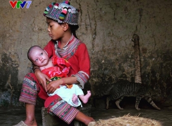 Phim tài liệu Việt Nam được vinh danh quốc tế