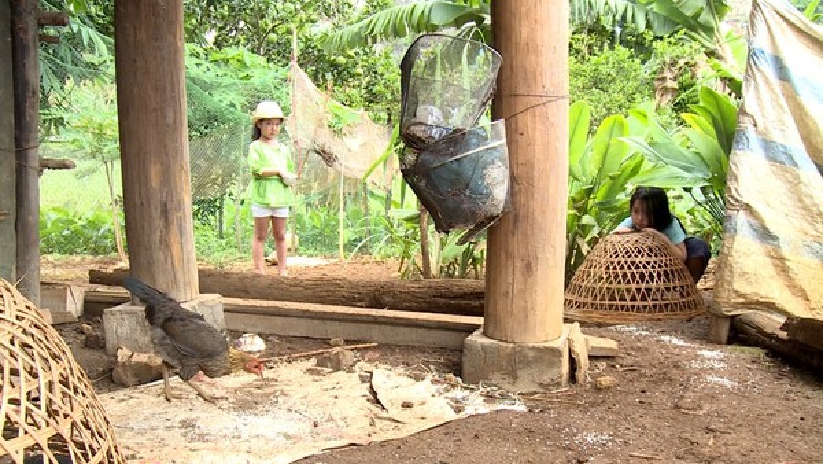 Suti và Chip trong thử thách bắt vịt