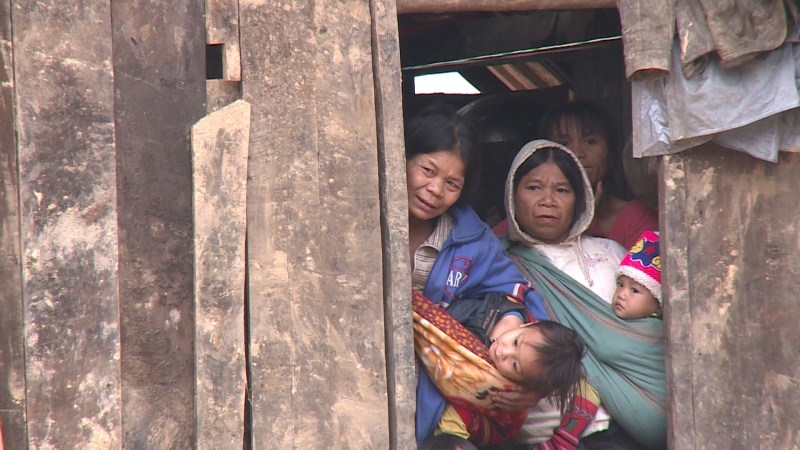 cam on cuoc doi ban tinh ca ve cuoc song
