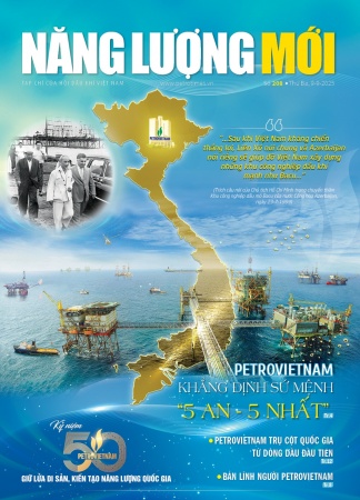 Tạp chí Năng lượng Mới - Số 208
