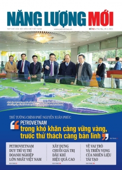 Tạp chí Năng lượng Mới - Số 42