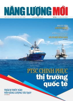 Tạp chí Năng lượng Mới - Số 12