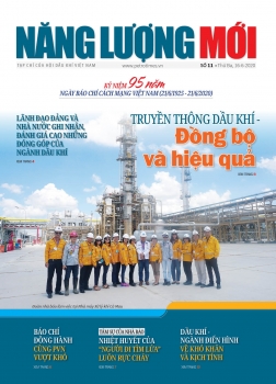 Tạp chí Năng lượng mới - Số 11