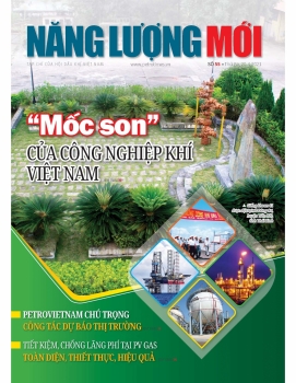 Tạp chí Năng lượng Mới - Số 55