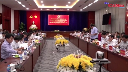 Video nhap 20230808081727